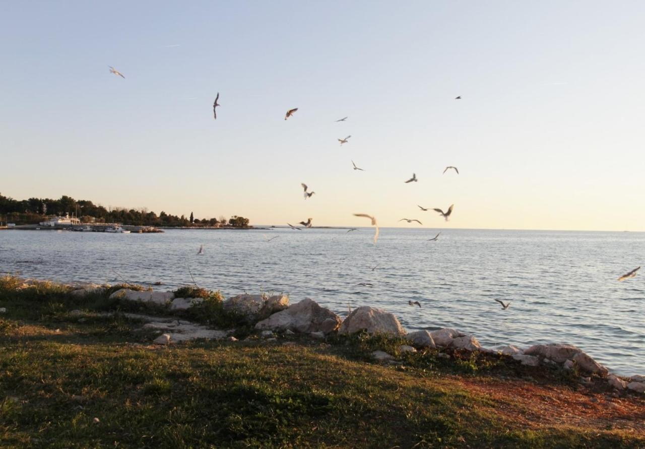 Apartments Zambratija With Sea View Екстериор снимка